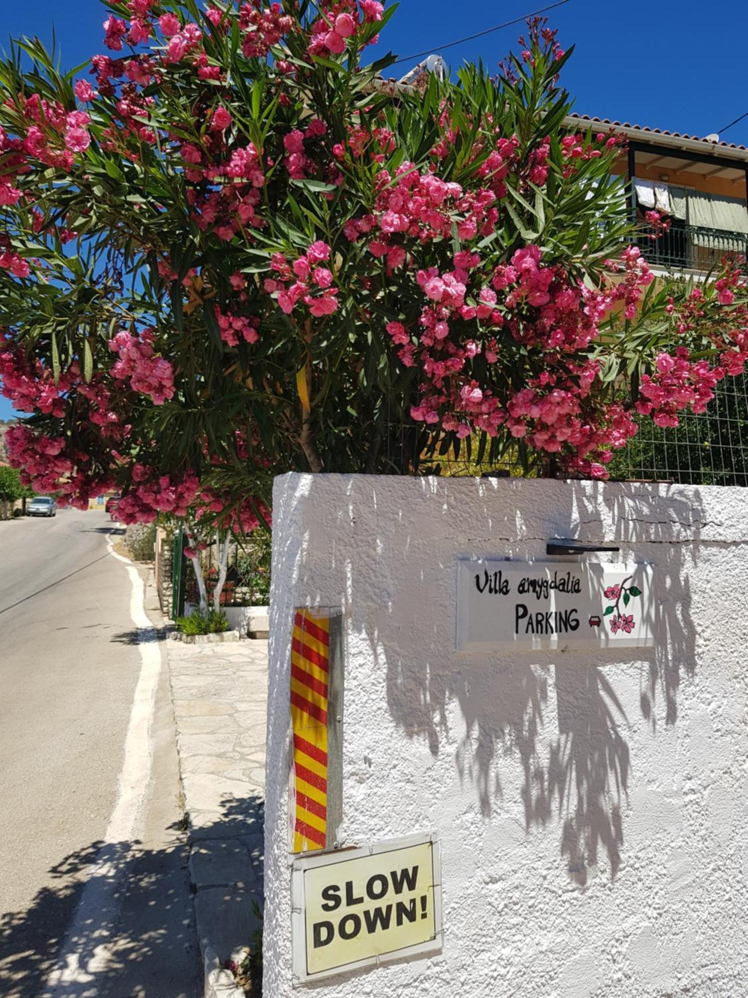 Villa Amygdalia Dilinata Bagian luar foto